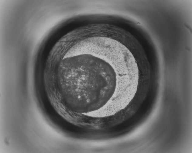 X0000103470143200810241023