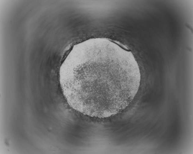 X0000103470144200810241023