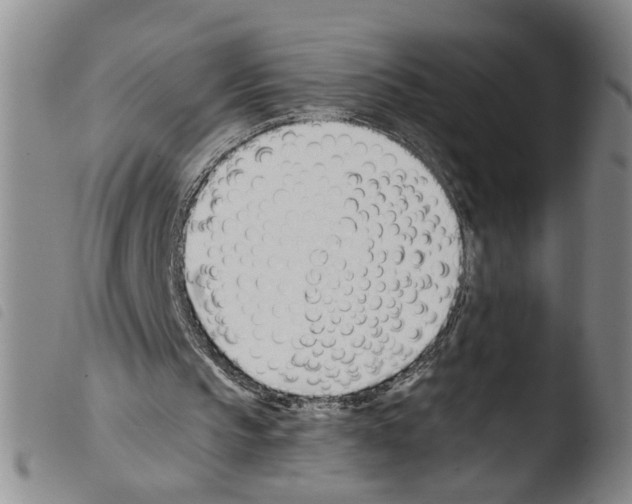 X0000103470145200810241022