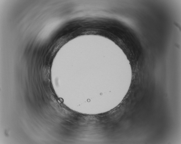 X0000103470146200810241022