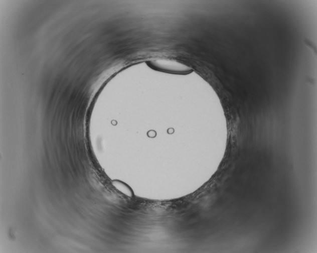 X0000103470148200810241022