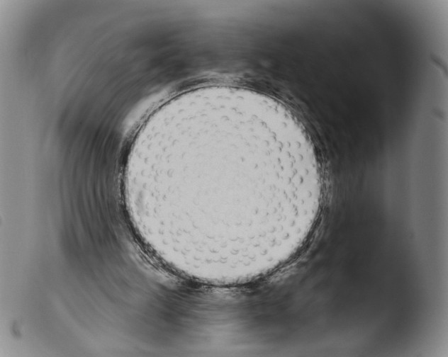 X0000103470149200810241022