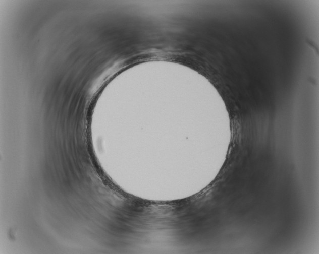 X0000103470150200810241022