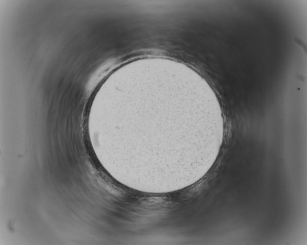 X0000103470151200810241022