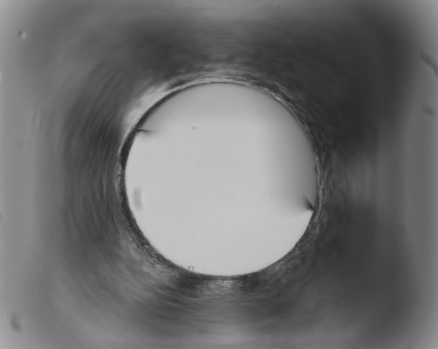 X0000103470152200810241022