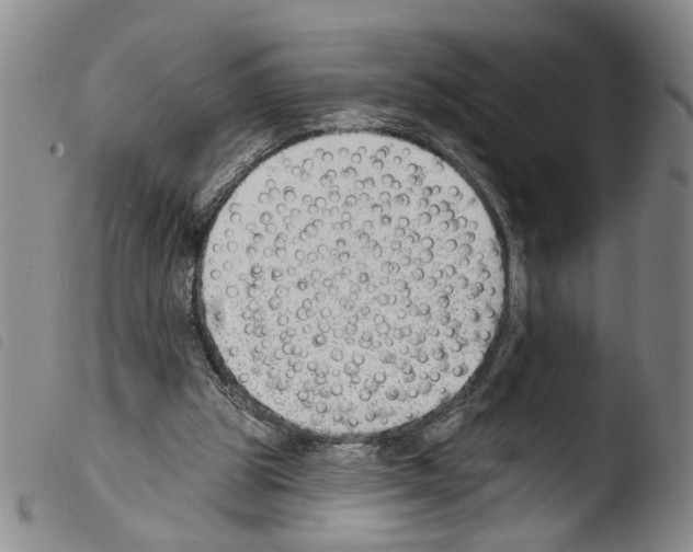 X0000103470153200810241022