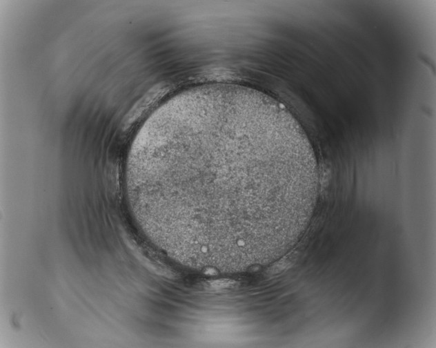 X0000103470158200810241022