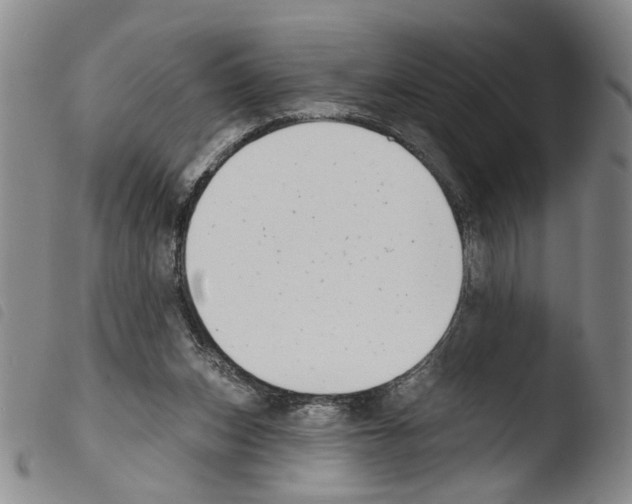 X0000103470159200810241022