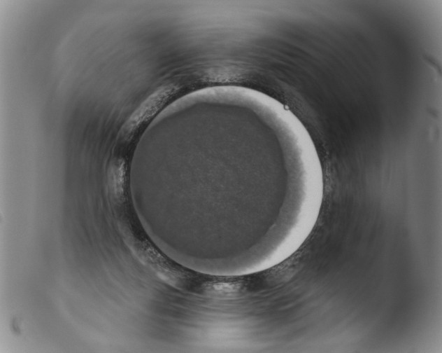 X0000103470163200810241022