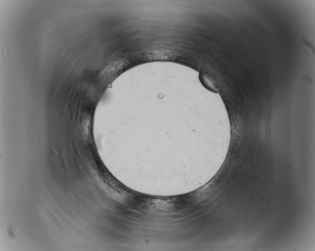 X0000103470166200810241022
