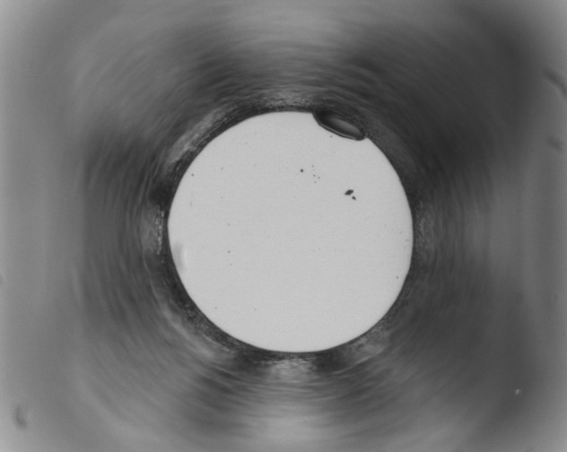 X0000103470168200810241023