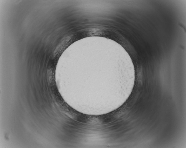 X0000103470169200810241023