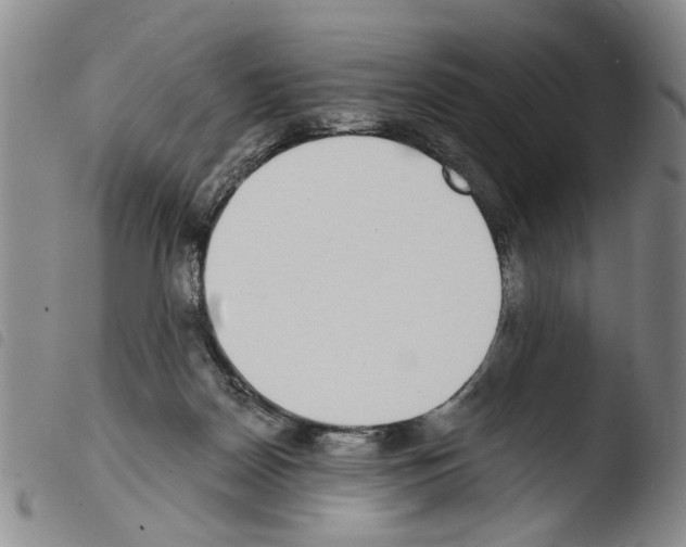 X0000103470170200810241023