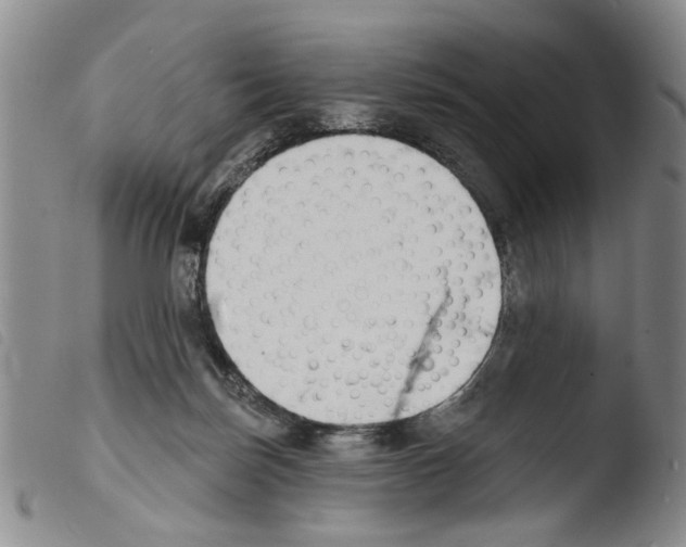 X0000103470171200810241023