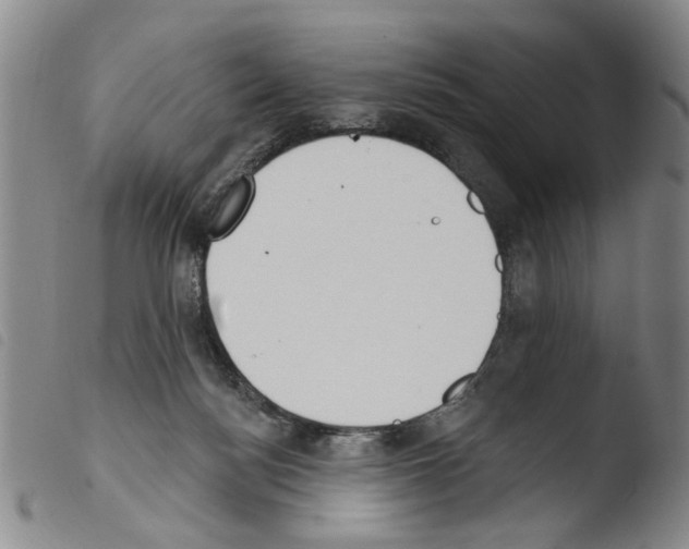 X0000103470172200810241023