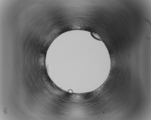 X0000103470174200810241023