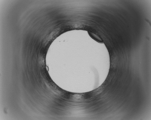 X0000103470176200810241023