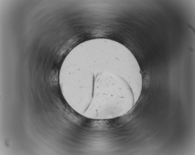 X0000103470179200810241023