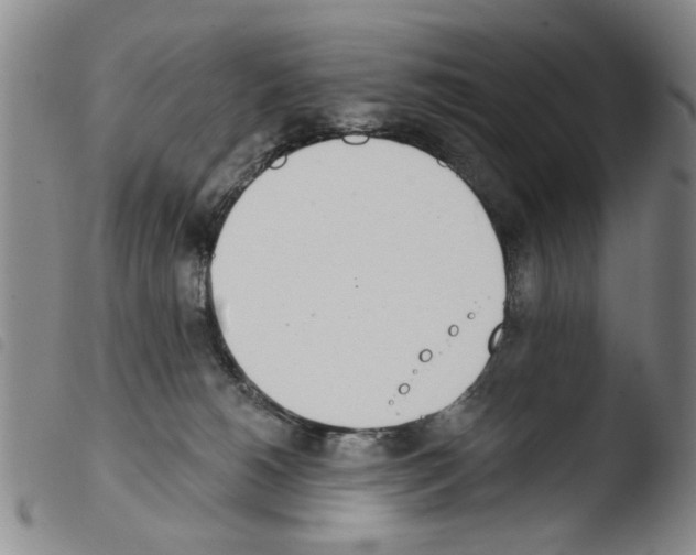 X0000103470180200810241023