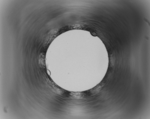 X0000103470181200810241023