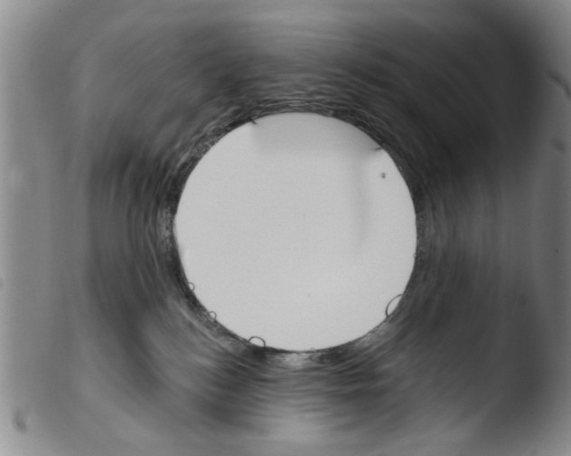 X0000103470184200810241023