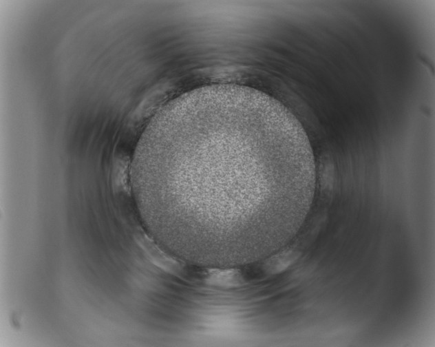 X0000103470185200810241023