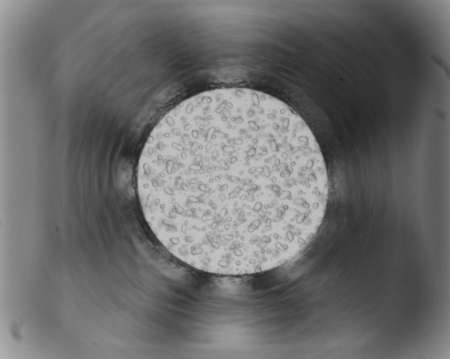 X0000103470187200810241023