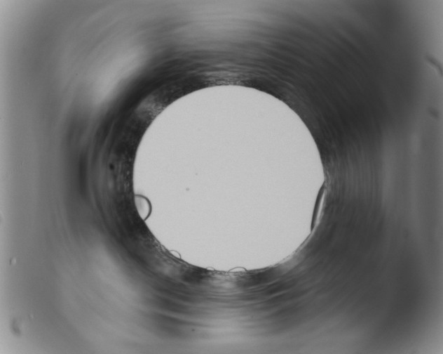 X0000103470190200810241023