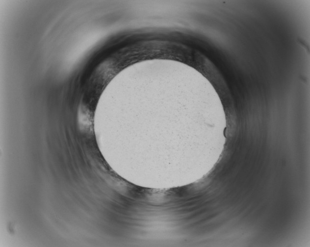 X0000103470191200810241023