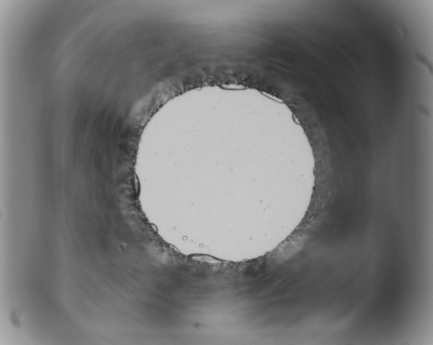 X0000103470192200810241023