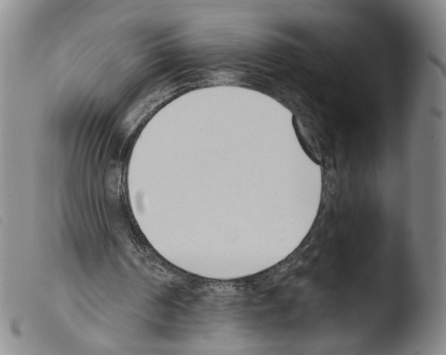 X0000103470194200810241022
