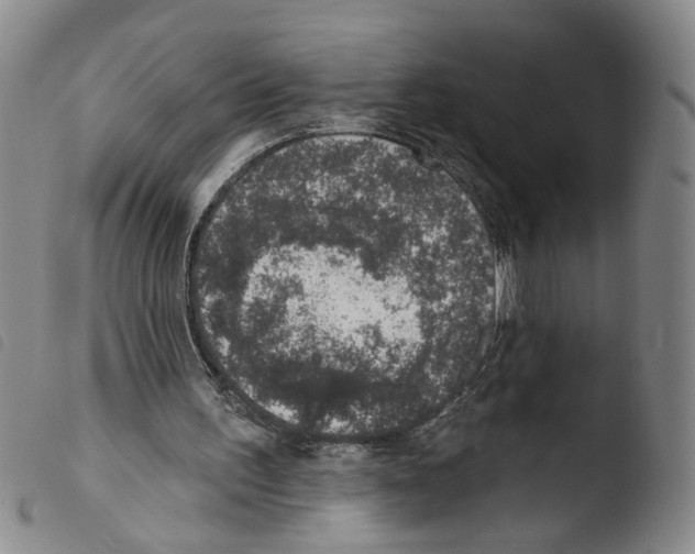 X0000103470195200810241022