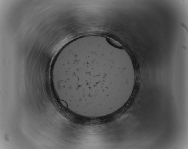 X0000103470196200810241022