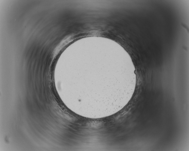 X0000103470198200810241022