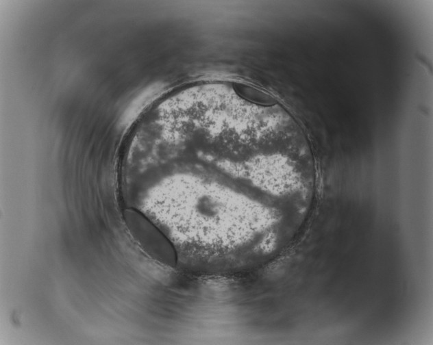 X0000103470199200810241022