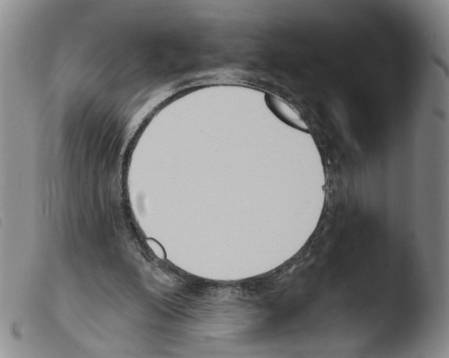 X0000103470200200810241022