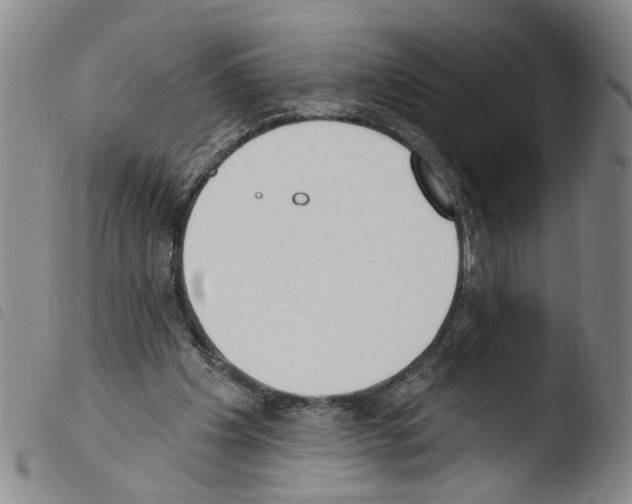 X0000103470201200810241022