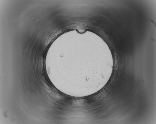 X0000103470202200810241022