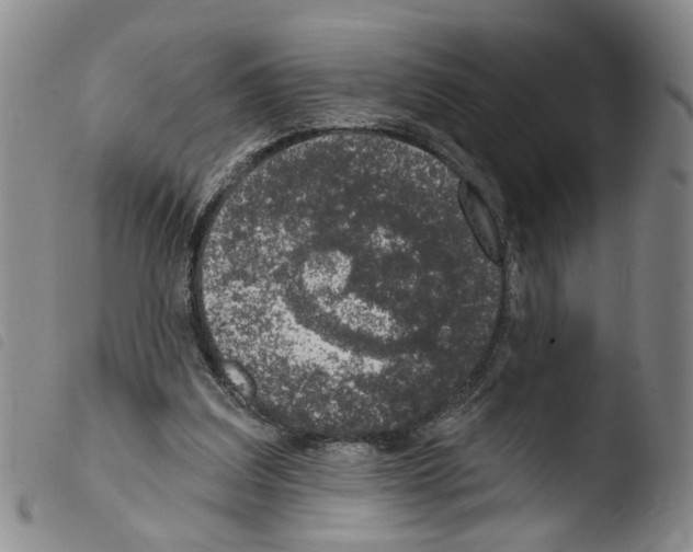 X0000103470203200810241022