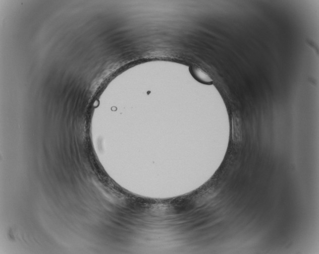 X0000103470204200810241022