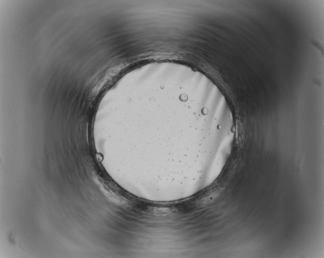 X0000103470205200810241022
