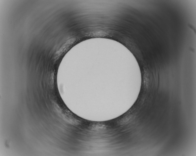 X0000103470206200810241022