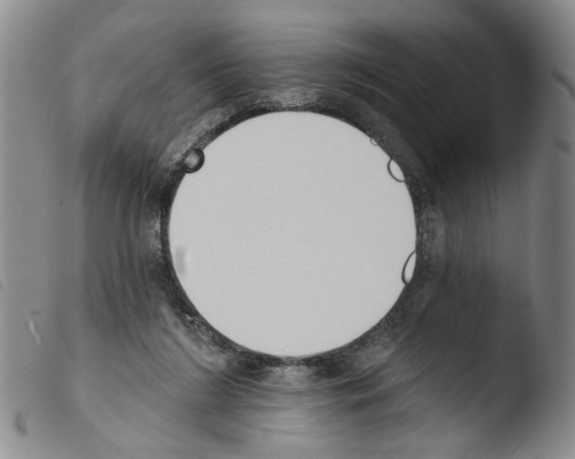 X0000103470212200810241022