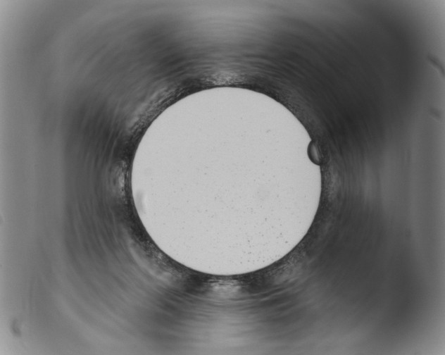X0000103470214200810241022