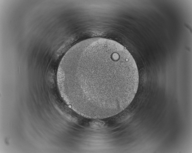 X0000103470215200810241022
