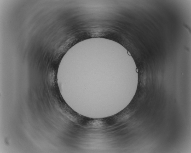 X0000103470219200810241022