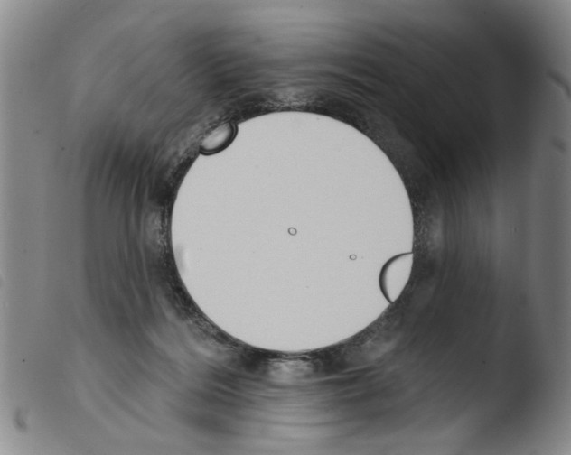 X0000103470220200810241022