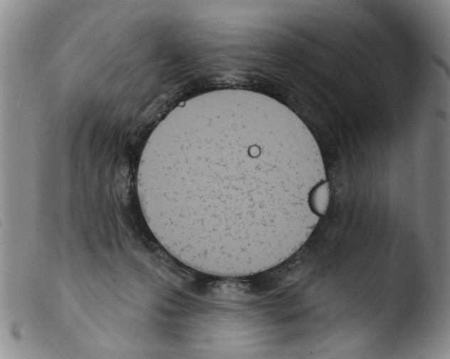 X0000103470223200810241022