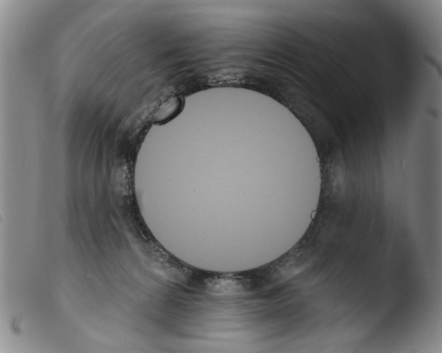 X0000103470224200810241022
