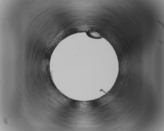X0000103470229200810241022